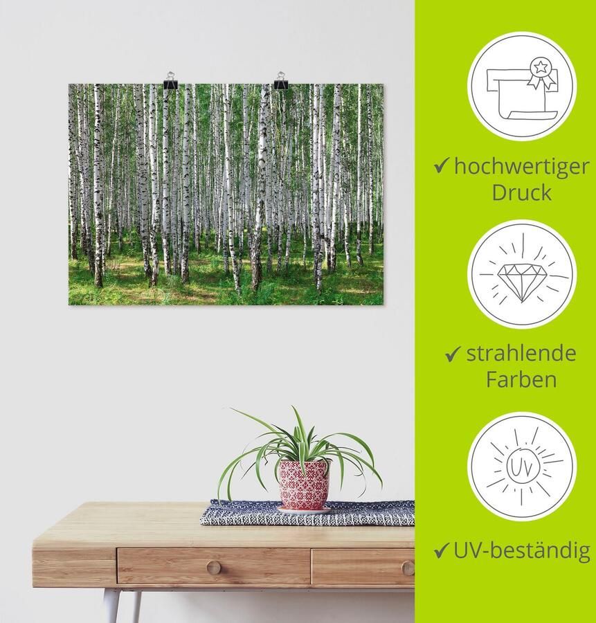 Artland Artprint Berkenbos als poster muursticker in verschillende maten - Foto 3