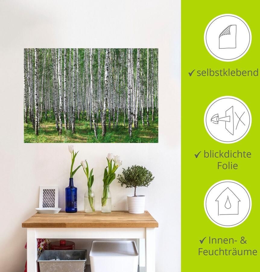 Artland Artprint Berkenbos als poster muursticker in verschillende maten - Foto 4