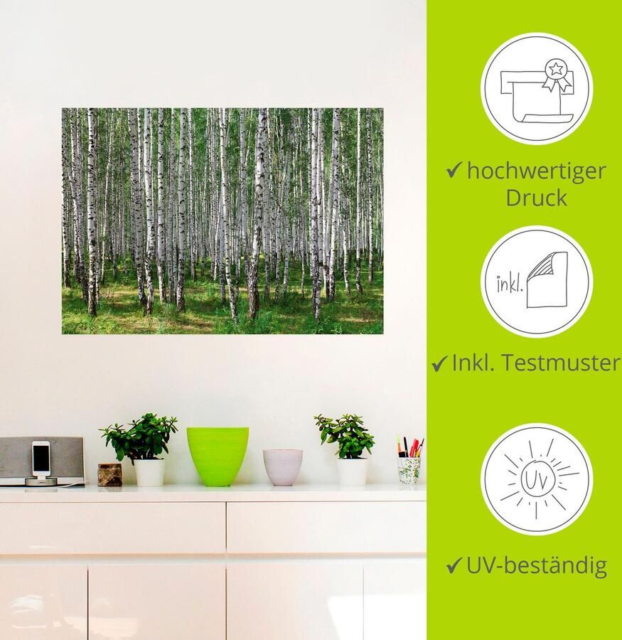 Artland Artprint Berkenbos als poster muursticker in verschillende maten - Foto 3