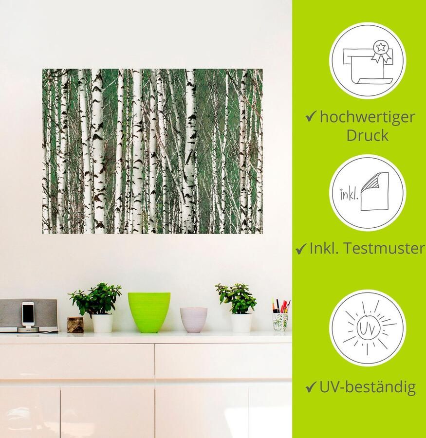 Artland Artprint Berkenbos bomen als artprint op linnen muursticker in verschillende maten - Foto 3