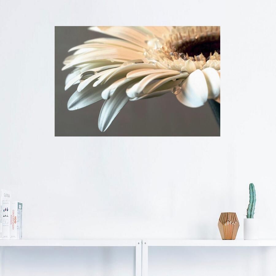 Artland Artprint Bloem van een gerbera als artprint op linnen poster muursticker in verschillende maten - Foto 2