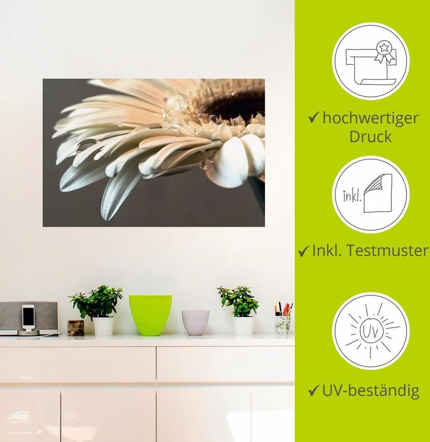 Artland Artprint Bloem van een gerbera als artprint op linnen poster muursticker in verschillende maten - Foto 3