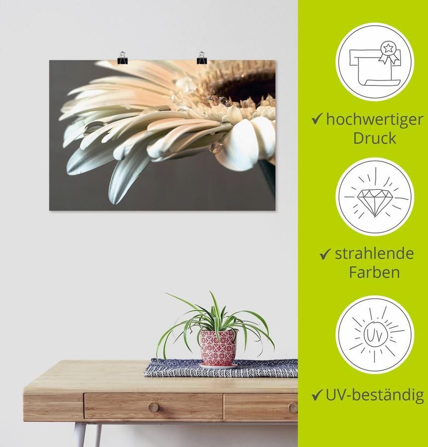 Artland Artprint Bloem van een gerbera als artprint op linnen poster muursticker in verschillende maten - Foto 3