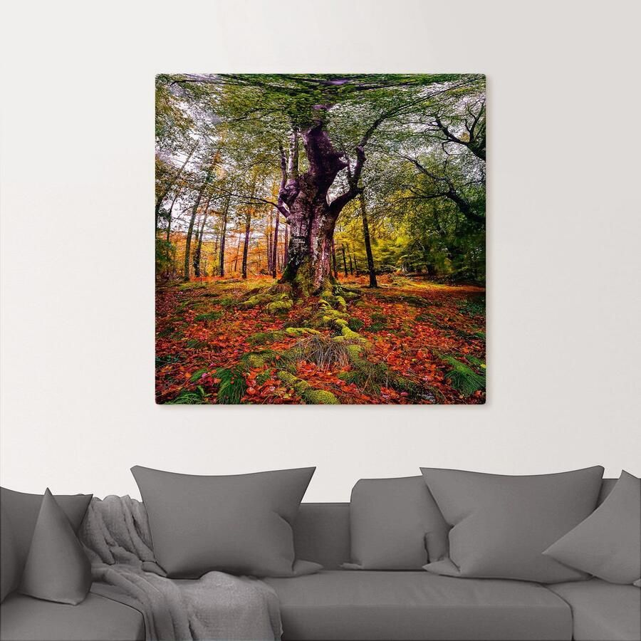 Artland Artprint Boom in het bos als artprint op linnen poster in verschillende formaten maten