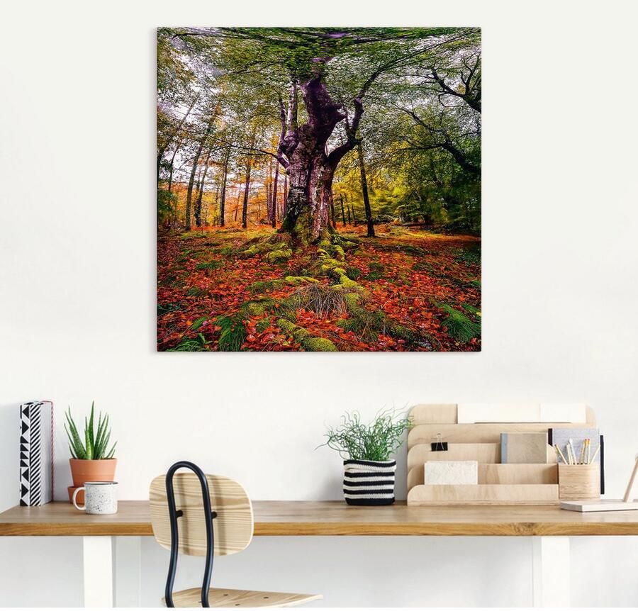 Artland Artprint Boom in het bos als artprint op linnen poster in verschillende formaten maten - Foto 3