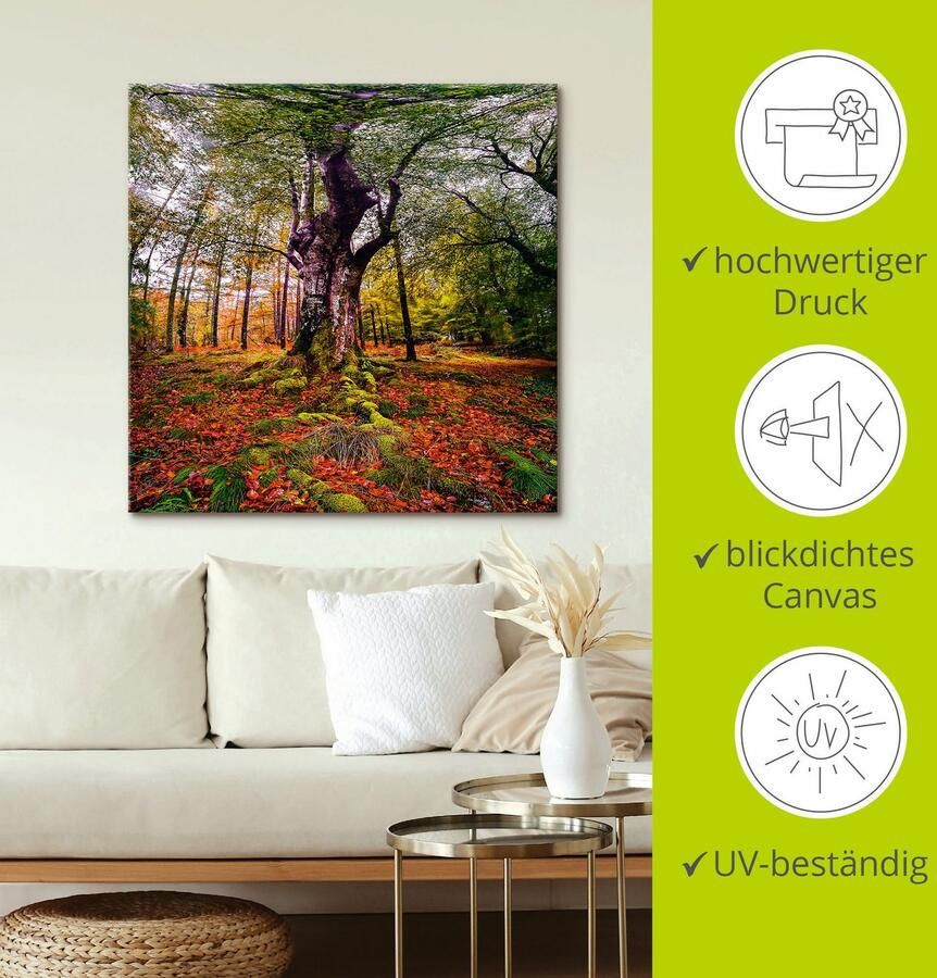 Artland Artprint Boom in het bos als artprint op linnen poster in verschillende formaten maten - Foto 4