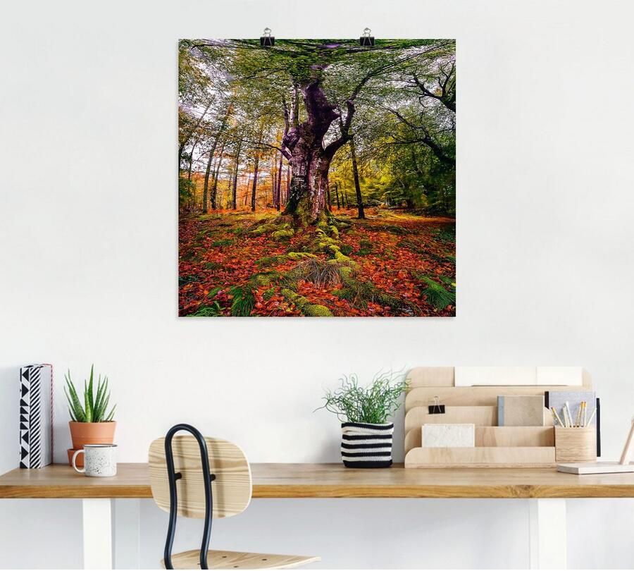 Artland Artprint Boom in het bos als artprint op linnen poster in verschillende formaten maten - Foto 4