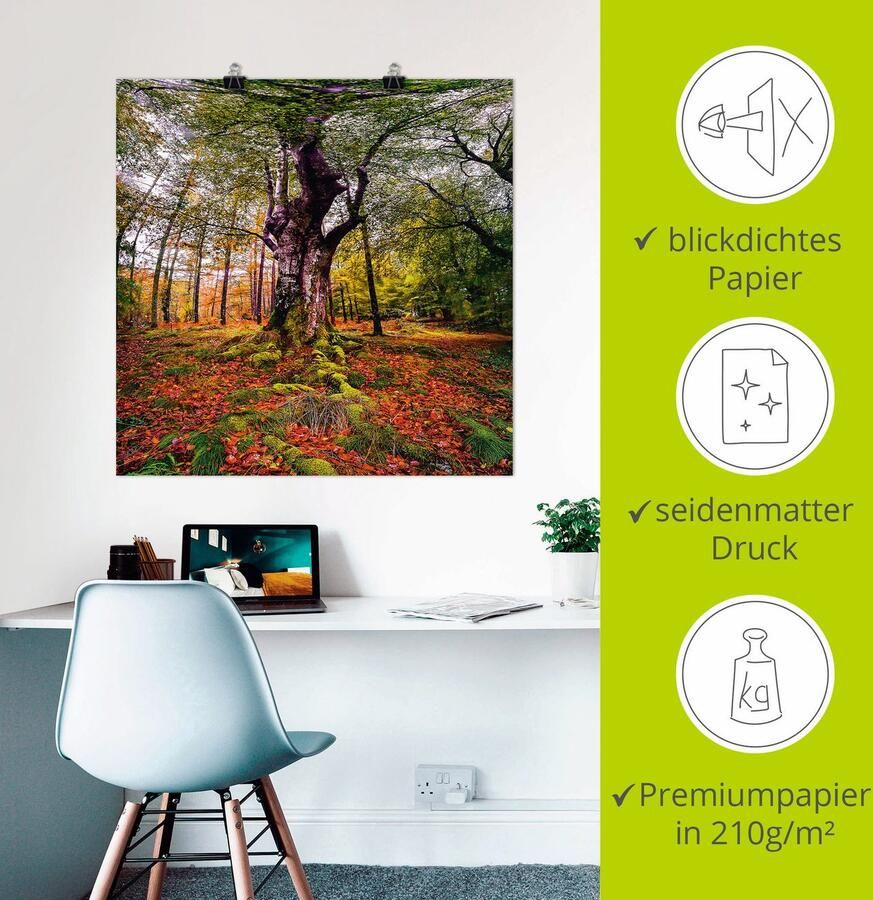 Artland Artprint Boom in het bos als artprint op linnen poster in verschillende formaten maten - Foto 2