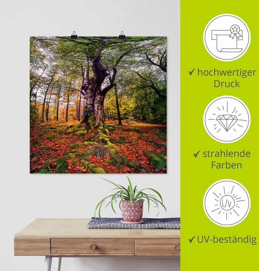 Artland Artprint Boom in het bos als artprint op linnen poster in verschillende formaten maten - Foto 3