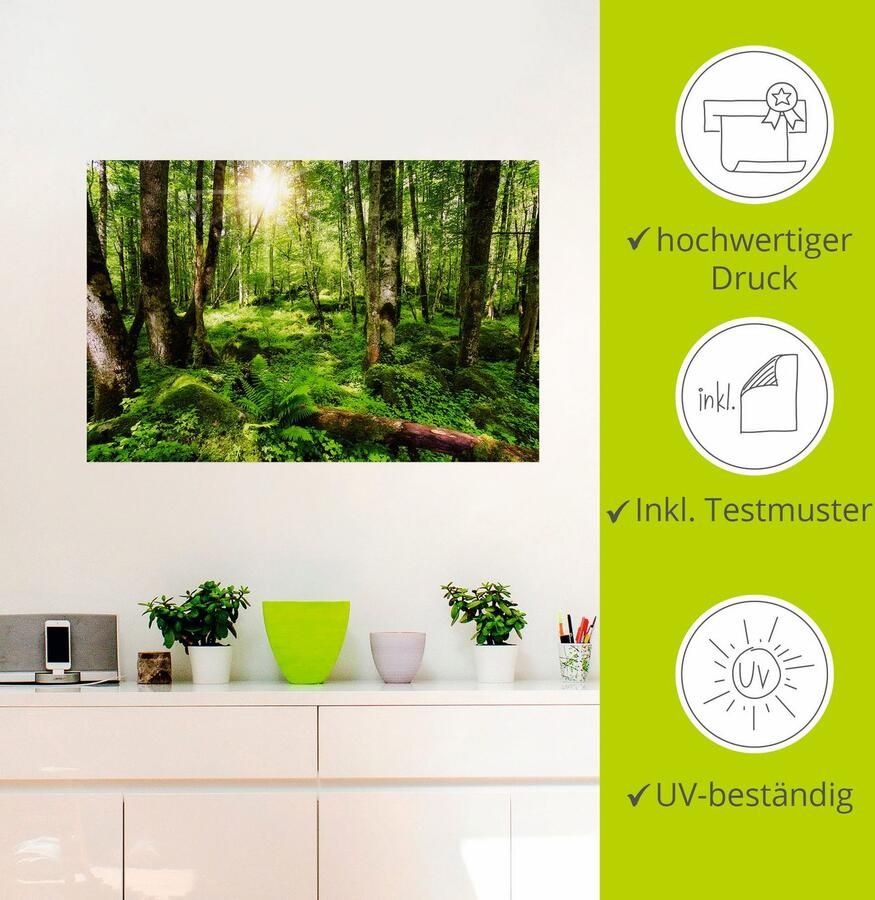 Artland Artprint Bos als artprint op linnen poster muursticker in verschillende maten - Foto 2