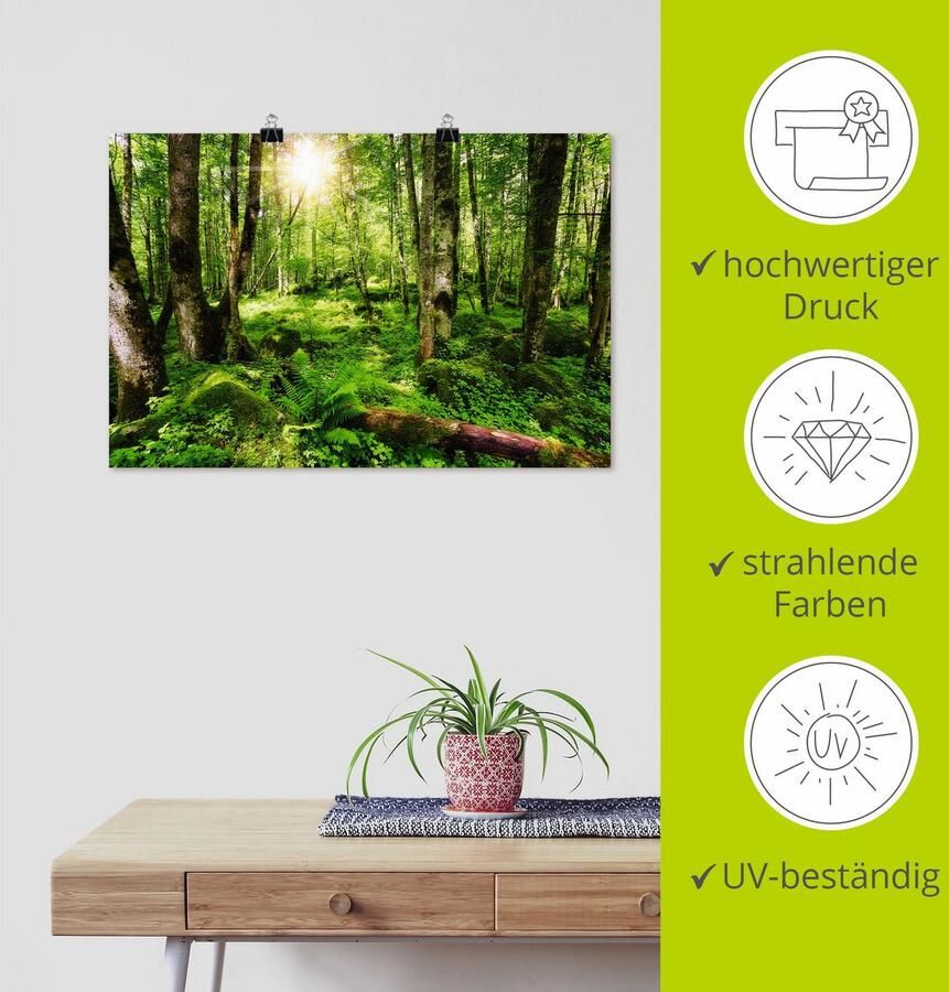 Artland Artprint Bos als artprint op linnen poster muursticker in verschillende maten - Foto 3