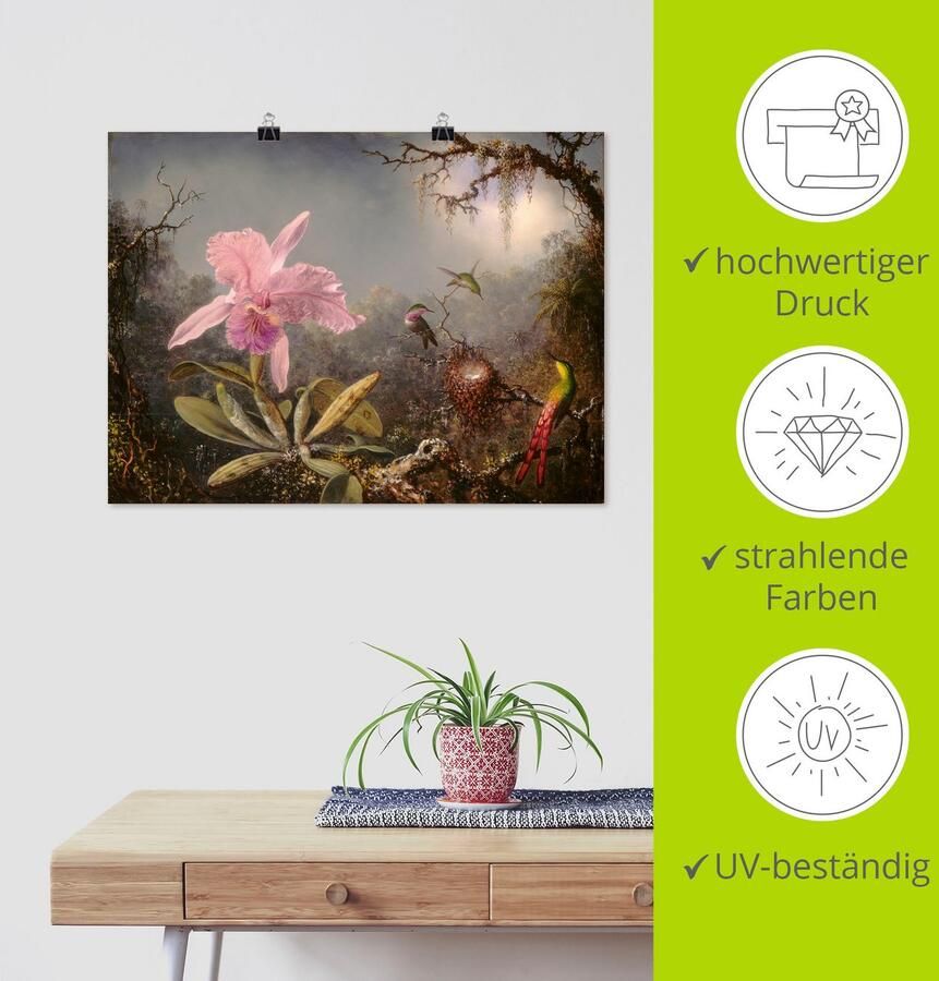 Artland Artprint Cattleya orchidee en drie kolibries. als artprint op linnen poster in verschillende formaten maten - Foto 4
