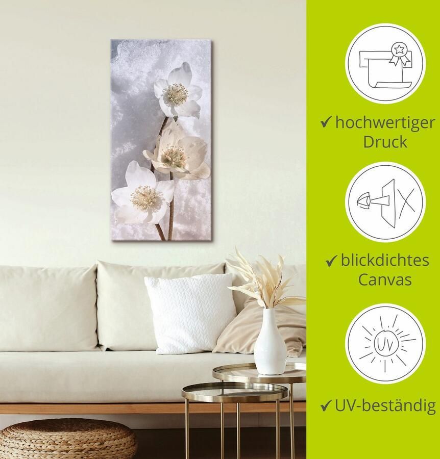 Artland Artprint Christrose in de sneeuw als artprint op linnen poster in verschillende formaten maten - Foto 2