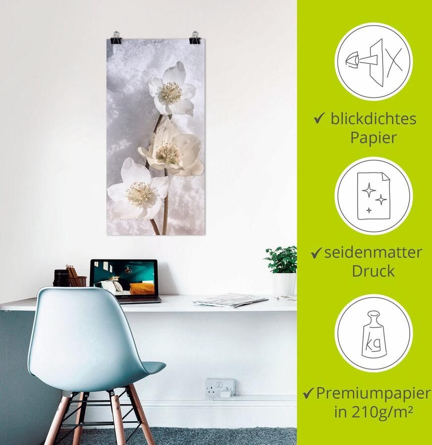 Artland Artprint Christrose in de sneeuw als artprint op linnen poster in verschillende formaten maten - Foto 2