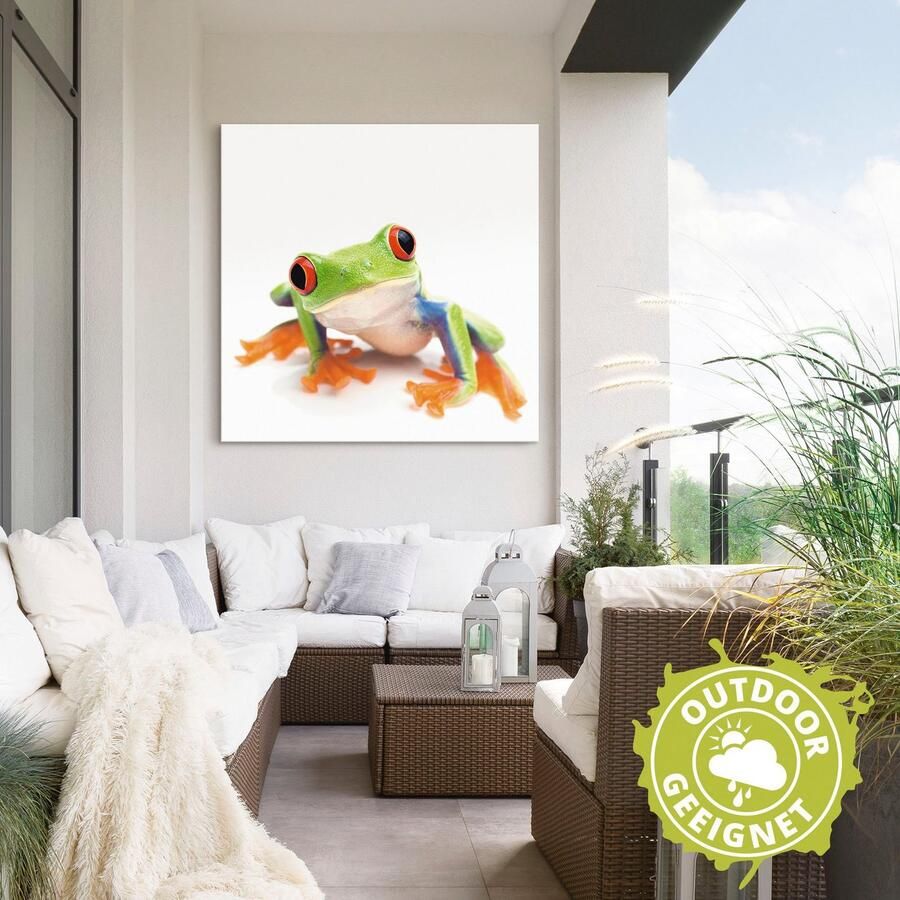 Artland Artprint Close up van een kikker voor wit als artprint van aluminium artprint voor buiten artprint op linnen in verschillende maten - Foto 2