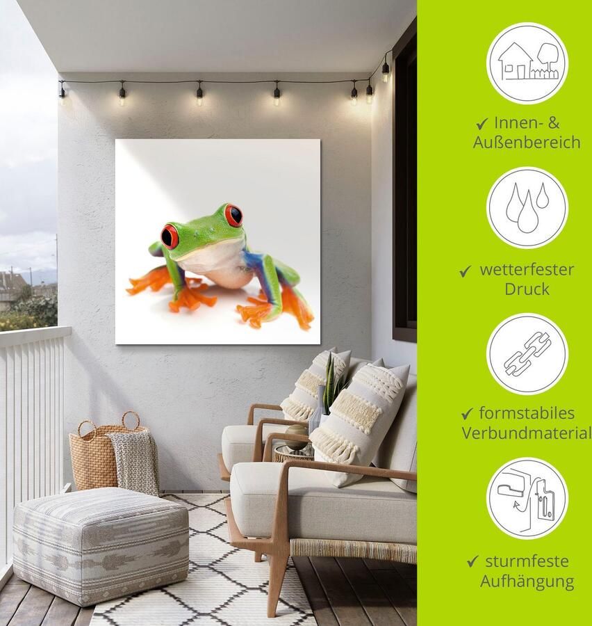 Artland Artprint Close up van een kikker voor wit als artprint van aluminium artprint voor buiten artprint op linnen in verschillende maten - Foto 4