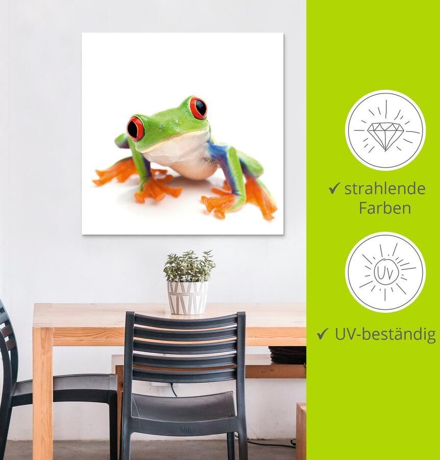 Artland Artprint Close up van een kikker voor wit als artprint van aluminium artprint voor buiten artprint op linnen in verschillende maten - Foto 3