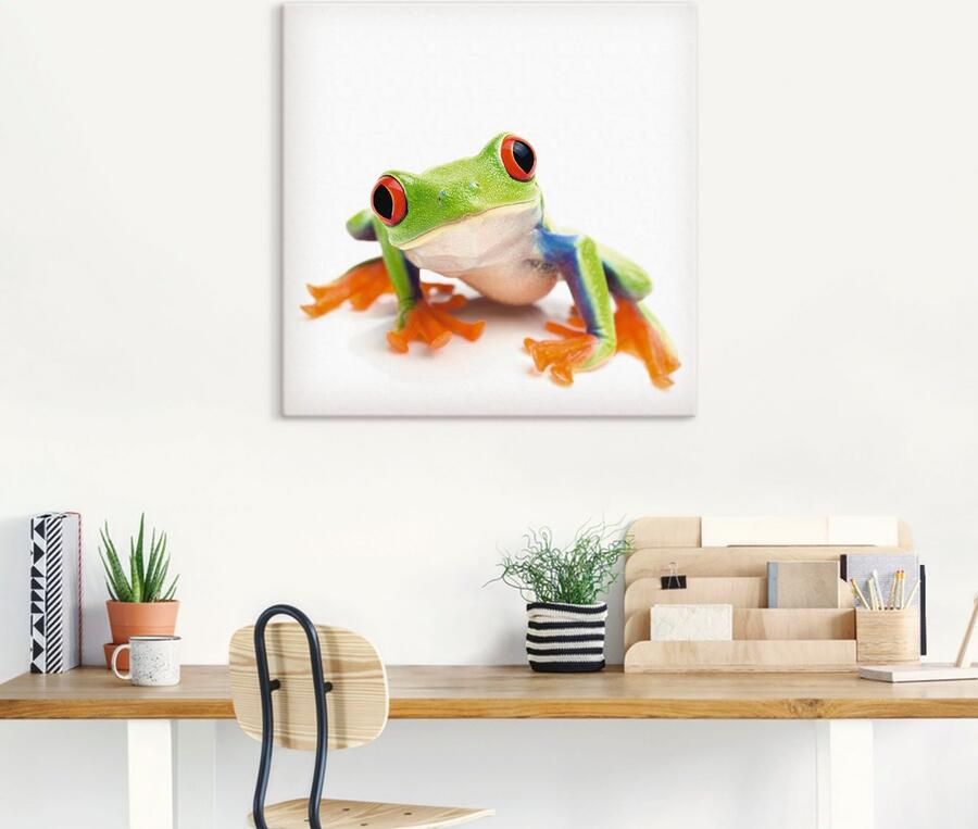 Artland Artprint Close up van een kikker voor wit als artprint van aluminium artprint voor buiten artprint op linnen in verschillende maten - Foto 4