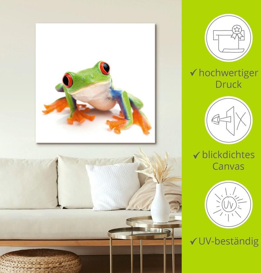 Artland Artprint Close up van een kikker voor wit als artprint van aluminium artprint voor buiten artprint op linnen in verschillende maten - Foto 3