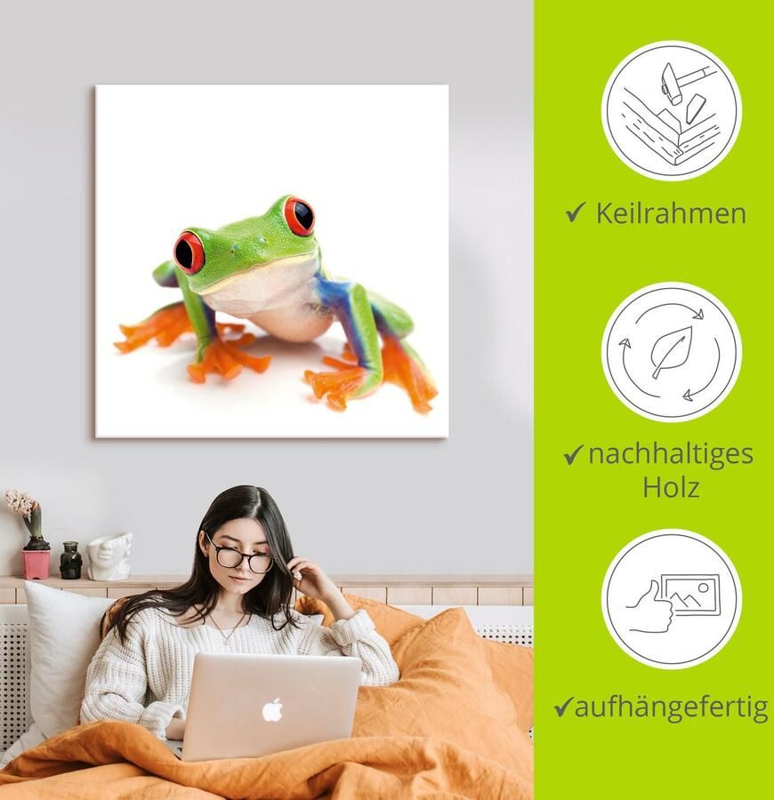 Artland Artprint Close up van een kikker voor wit als artprint van aluminium artprint voor buiten artprint op linnen in verschillende maten - Foto 2