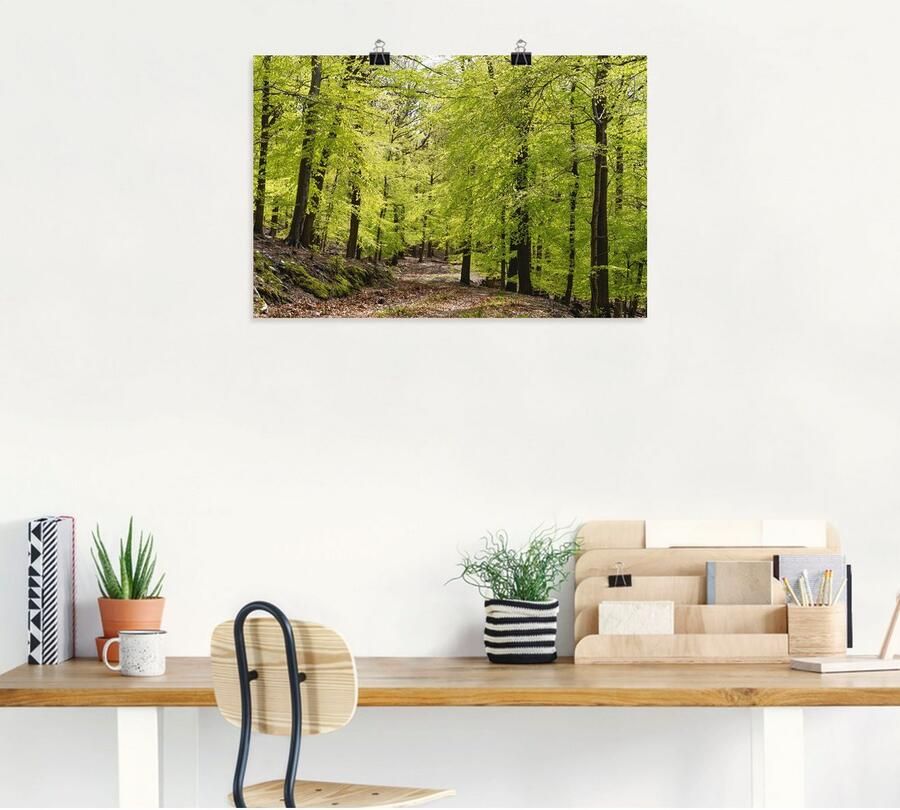 Artland Artprint De beuken in de lente als artprint van aluminium artprint voor buiten artprint op linnen poster muursticker - Foto 3