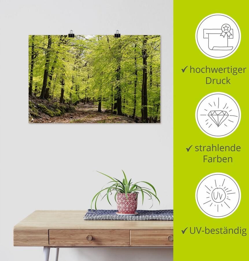 Artland Artprint De beuken in de lente als artprint van aluminium artprint voor buiten artprint op linnen poster muursticker - Foto 2