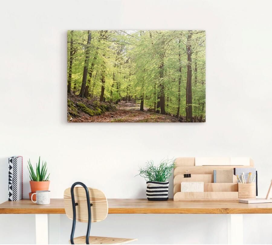 Artland Artprint De beuken in de lente als artprint van aluminium artprint voor buiten artprint op linnen poster muursticker - Foto 3