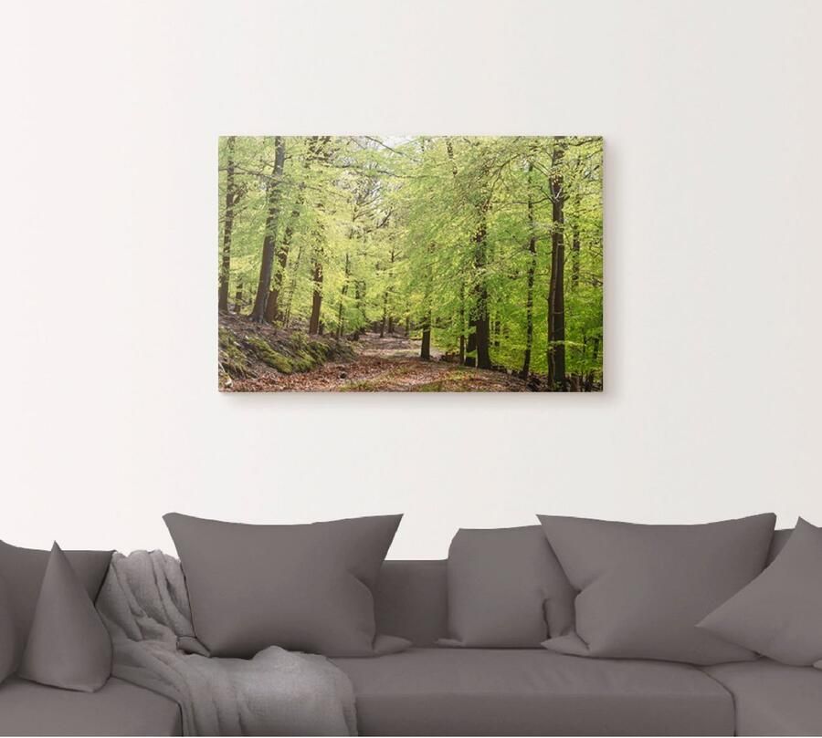 Artland Artprint De beuken in de lente als artprint van aluminium artprint voor buiten artprint op linnen poster muursticker - Foto 4