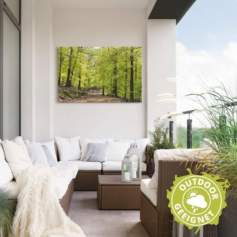 Artland Artprint De beuken in de lente als artprint van aluminium artprint voor buiten artprint op linnen poster muursticker