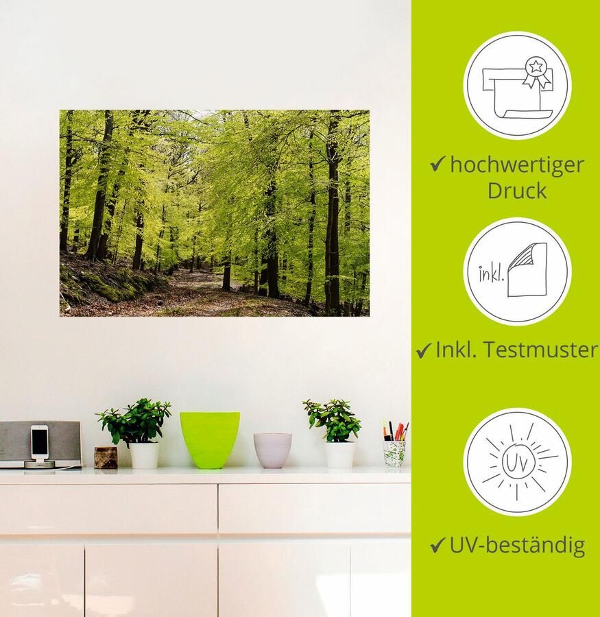Artland Artprint De beuken in de lente als artprint van aluminium artprint voor buiten artprint op linnen poster muursticker - Foto 2