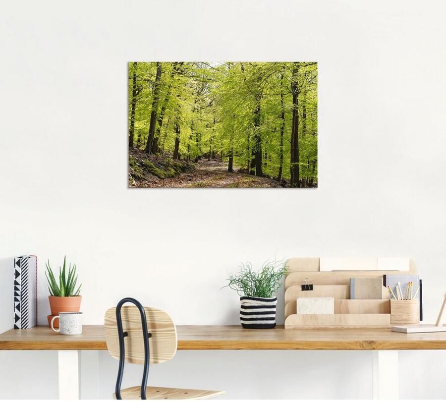 Artland Artprint De beuken in de lente als artprint van aluminium artprint voor buiten artprint op linnen poster muursticker - Foto 4