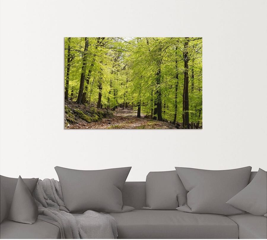 Artland Artprint De beuken in de lente als artprint van aluminium artprint voor buiten artprint op linnen poster muursticker - Foto 5