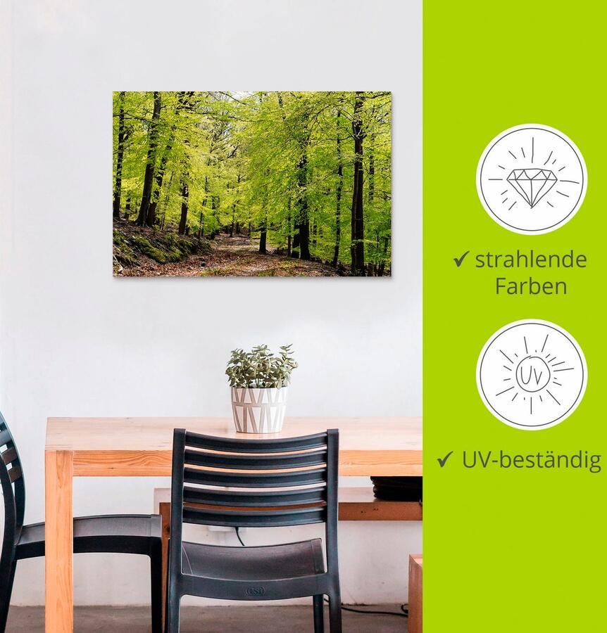 Artland Artprint De beuken in de lente als artprint van aluminium artprint voor buiten artprint op linnen poster muursticker - Foto 2