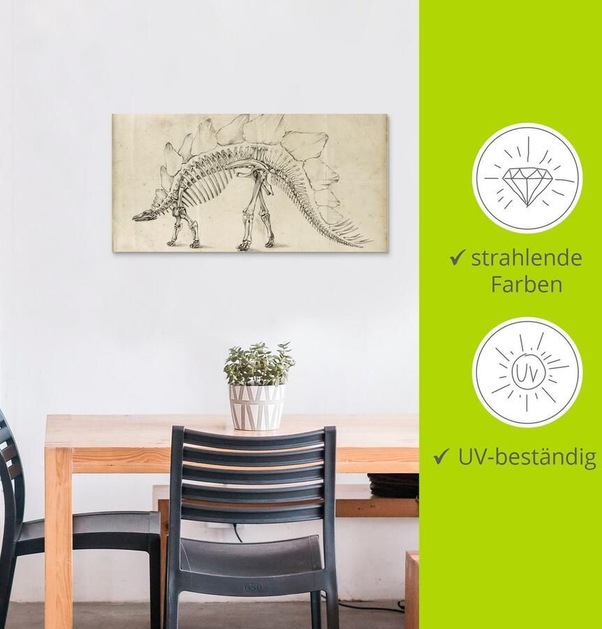 Artland Artprint Dinosaurus leer III als artprint van aluminium artprint voor buiten muursticker in diverse maten - Foto 2