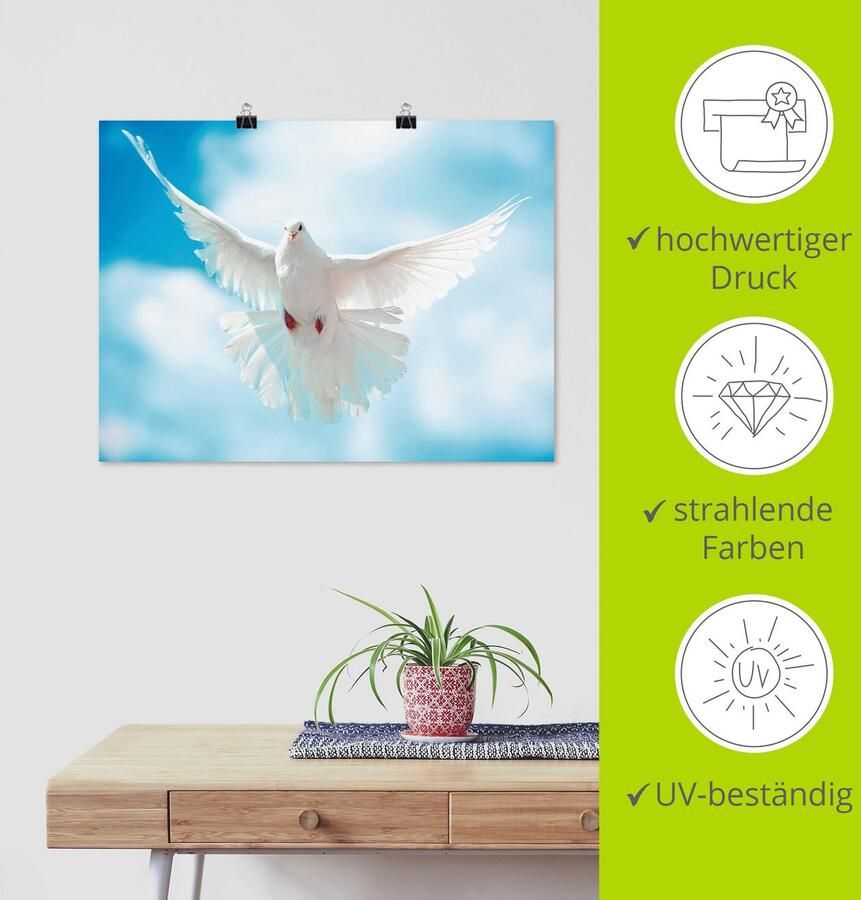 Artland Artprint Duif met gespreide vleugels als artprint van aluminium artprint voor buiten artprint op linnen poster in verschillende maten. maten - Foto 3