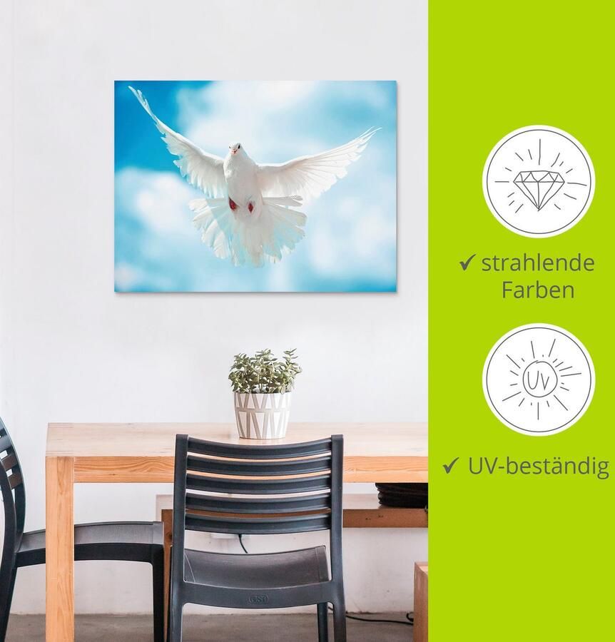 Artland Artprint Duif met gespreide vleugels als artprint van aluminium artprint voor buiten artprint op linnen poster in verschillende maten. maten - Foto 3
