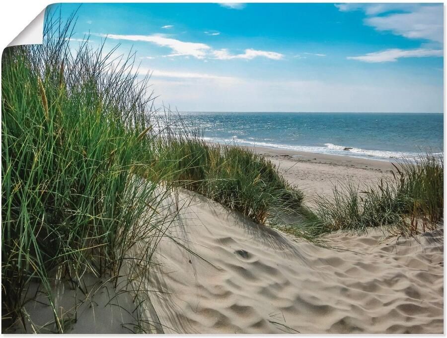 Artland Artprint Duinlandschap in de zomer aan de Noordzee als artprint van aluminium artprint voor buiten artprint op linnen poster muursticker - Foto 4