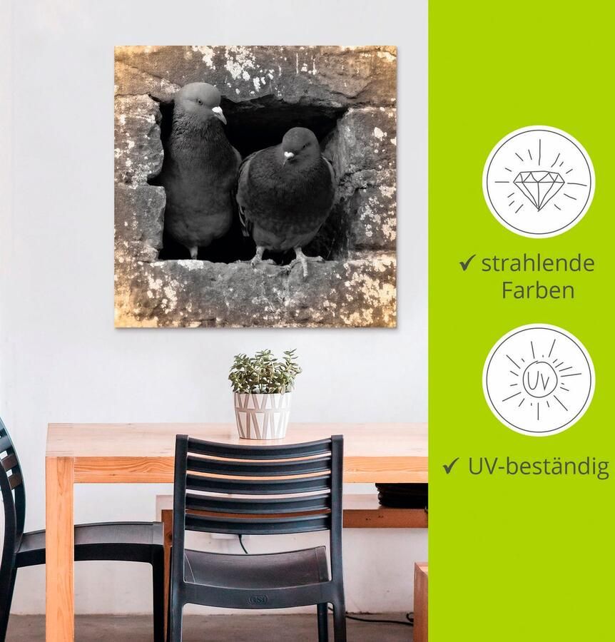 Artland Artprint Duiven liefde als artprint van aluminium artprint voor buiten artprint op linnen poster in verschillende maten. maten - Foto 2
