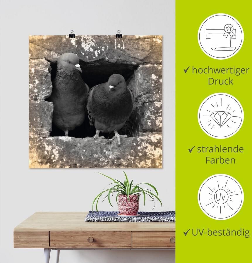Artland Artprint Duiven liefde als artprint van aluminium artprint voor buiten artprint op linnen poster in verschillende maten. maten - Foto 4