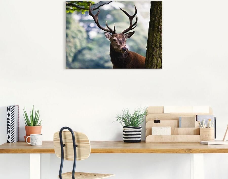 Artland Artprint op linnen Edelhert - Foto 7