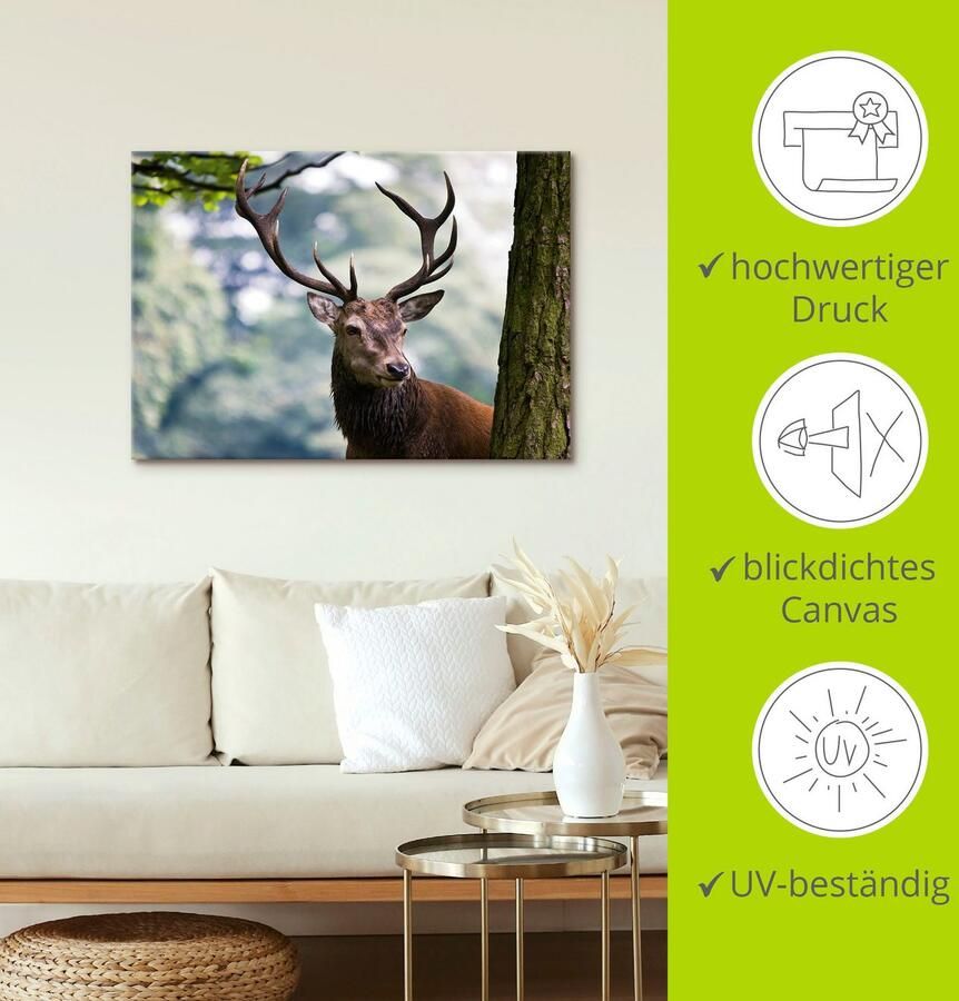 Artland Artprint op linnen Edelhert - Foto 4