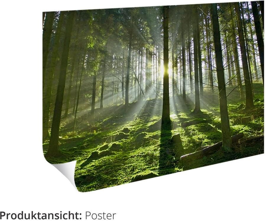 Artland Artprint Duif meeuw en Jana als artprint op linnen poster in verschillende formaten maten - Foto 7