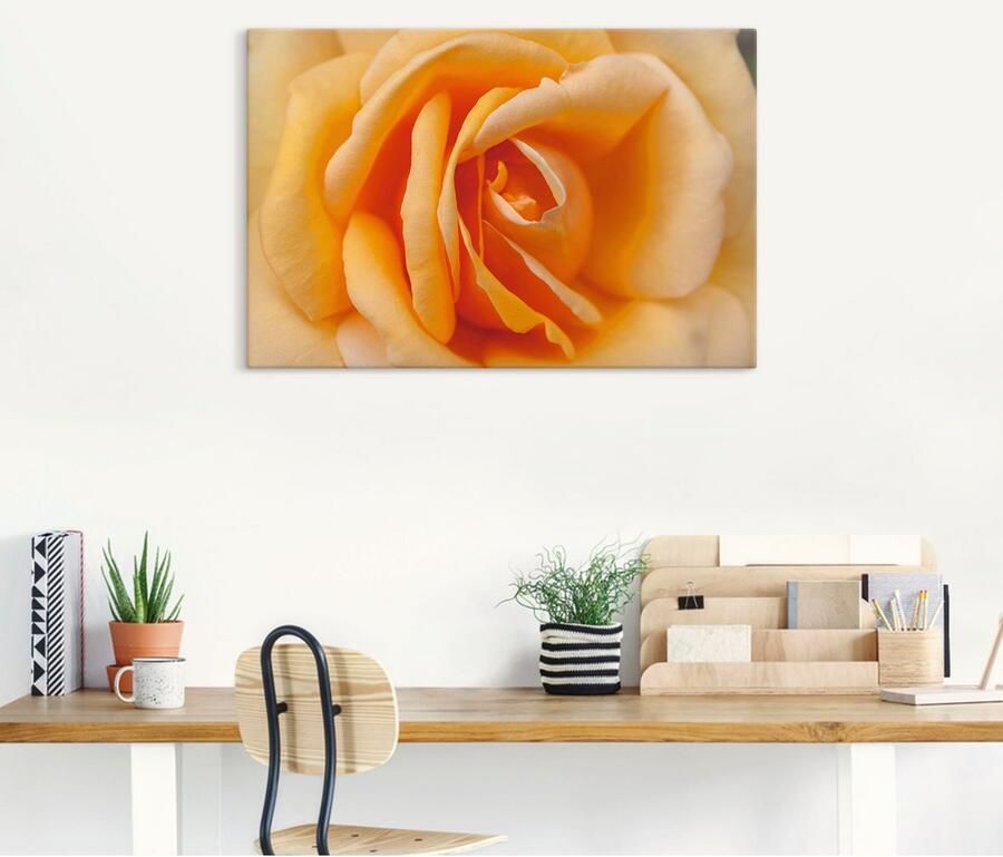 Artland Artprint Fijne roos in oranje als artprint op linnen poster in verschillende formaten maten - Foto 4