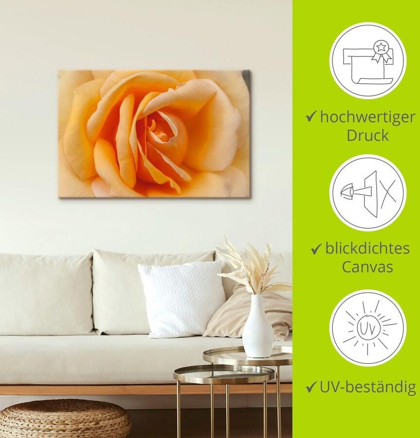 Artland Artprint Fijne roos in oranje als artprint op linnen poster in verschillende formaten maten - Foto 3