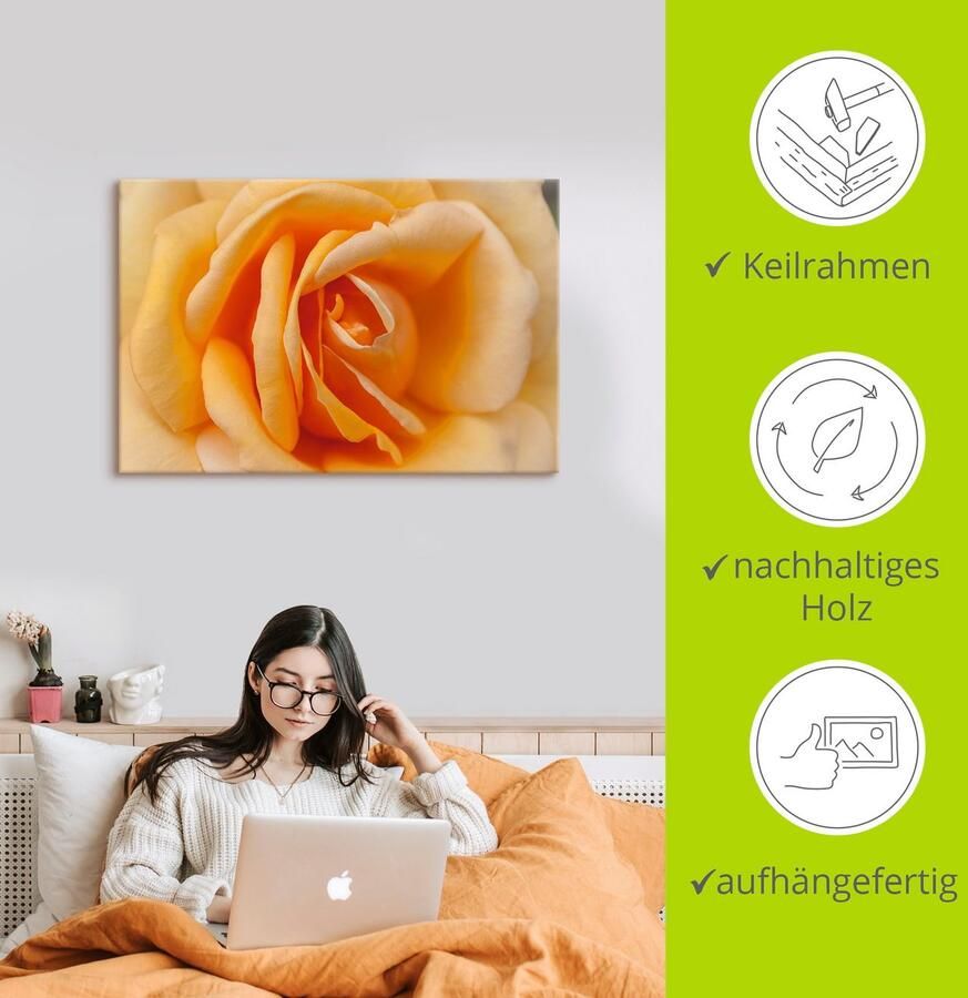 Artland Artprint Fijne roos in oranje als artprint op linnen poster in verschillende formaten maten - Foto 2