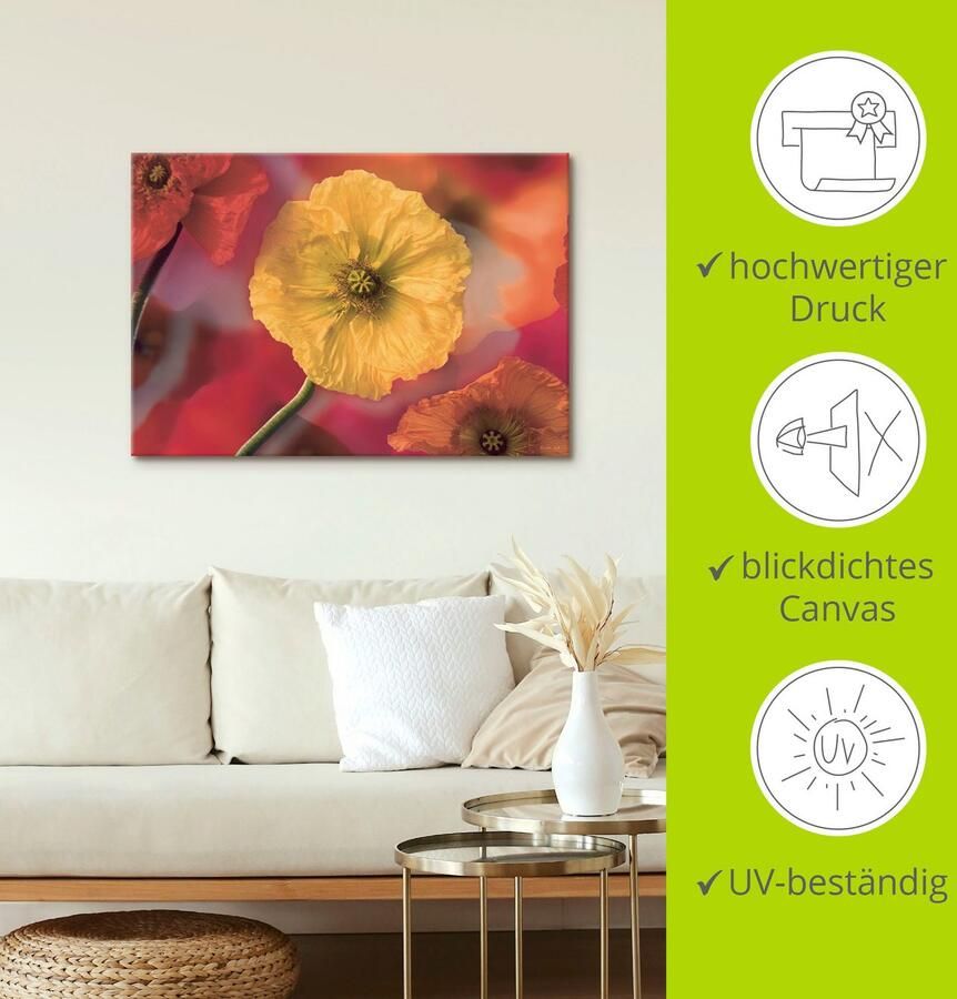 Artland Artprint Fotocollage klaprozen als artprint op linnen muursticker in verschillende maten - Foto 5