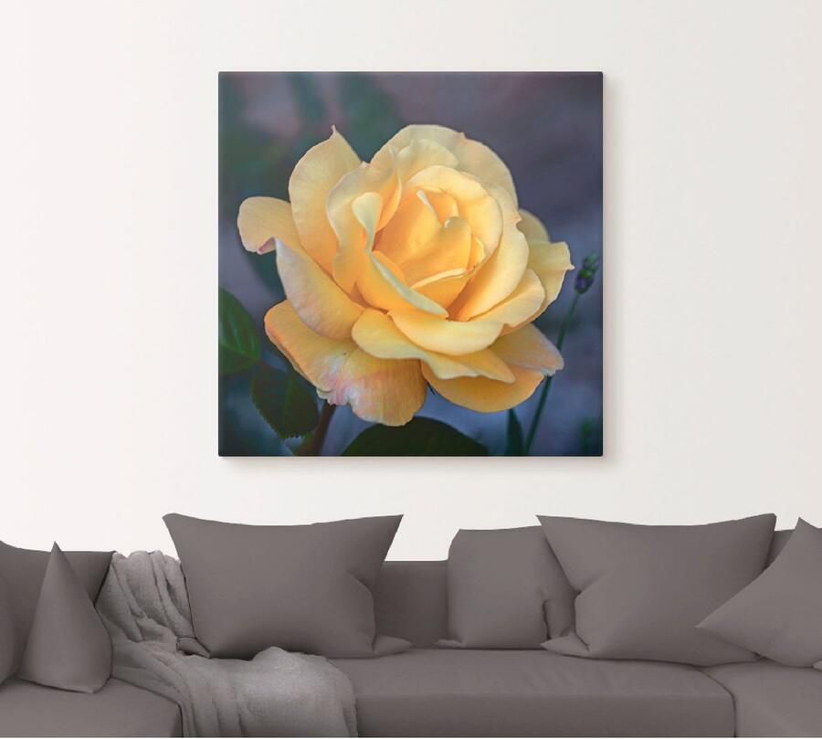 Artland Artprint Gele roos als artprint op linnen poster in verschillende formaten maten - Foto 4