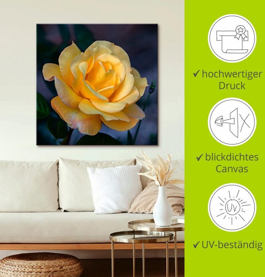 Artland Artprint Gele roos als artprint op linnen poster in verschillende formaten maten - Foto 2