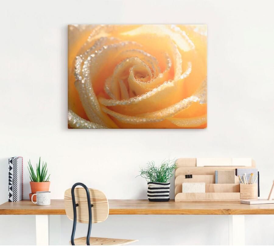 Artland Artprint Gele roos macro als artprint op linnen muursticker in verschillende maten - Foto 4