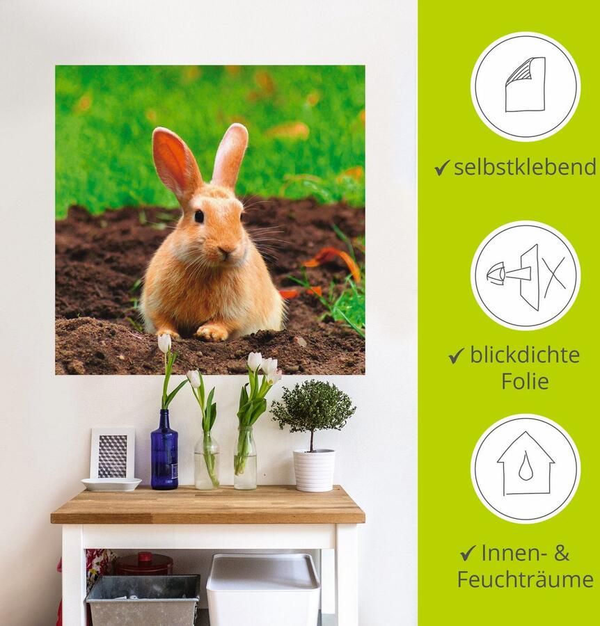 Artland Artprint Gelukkig dwergkonijntje als artprint op linnen muursticker in verschillende maten - Foto 3